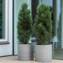 Pottery Pots Refined Max ronde plantenbak grijs sfeer